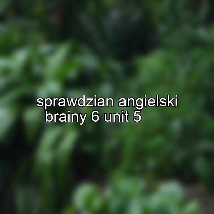 sprawdzian angielski brainy 6 unit 5