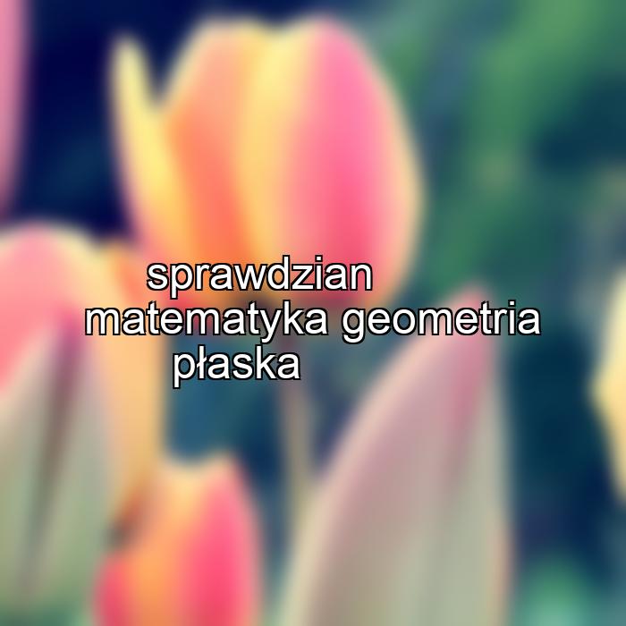 sprawdzian matematyka geometria płaska