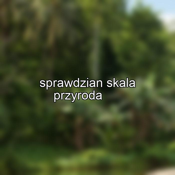 sprawdzian skala przyroda