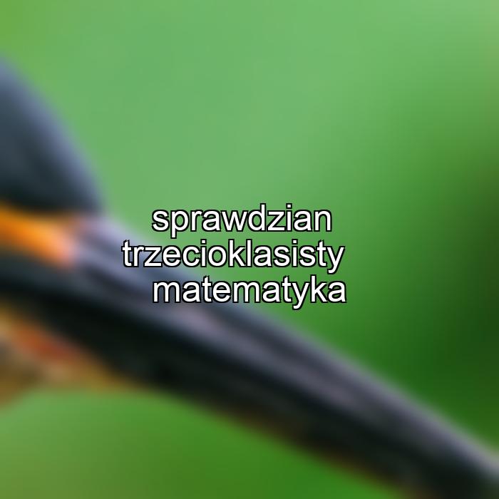 sprawdzian trzecioklasisty matematyka