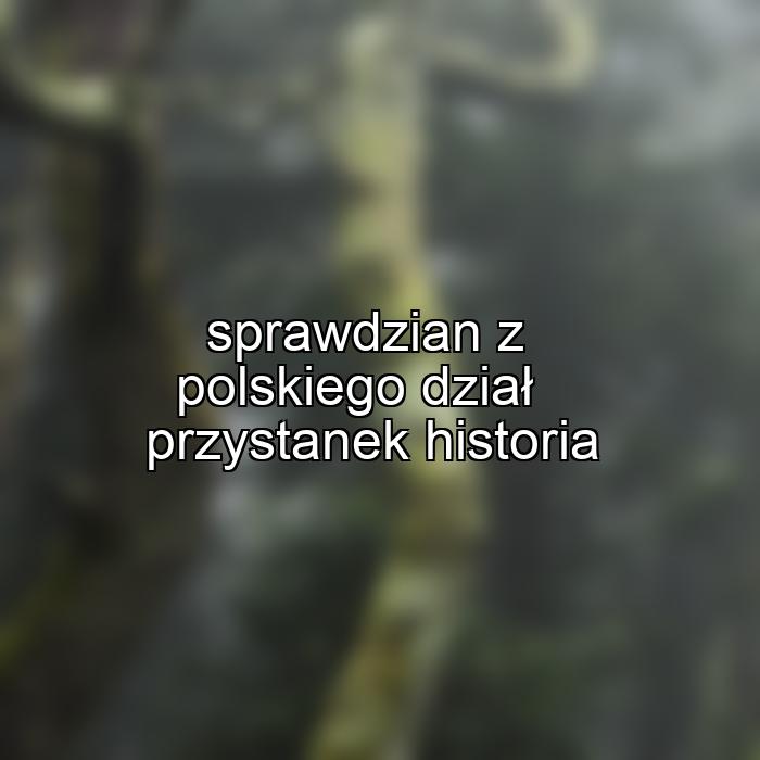 sprawdzian z polskiego dział przystanek historia