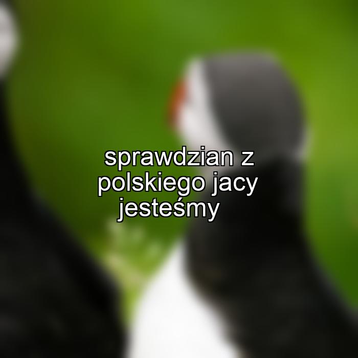 sprawdzian z polskiego jacy jesteśmy